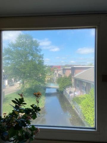 Tinyhouse Woody At The Water Apartamento Zaandam Exterior foto