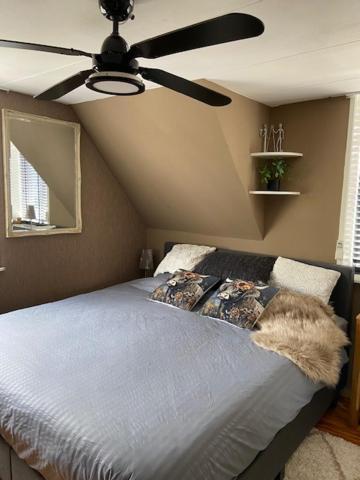 Tinyhouse Woody At The Water Apartamento Zaandam Exterior foto