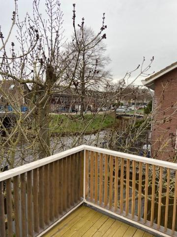 Tinyhouse Woody At The Water Apartamento Zaandam Exterior foto